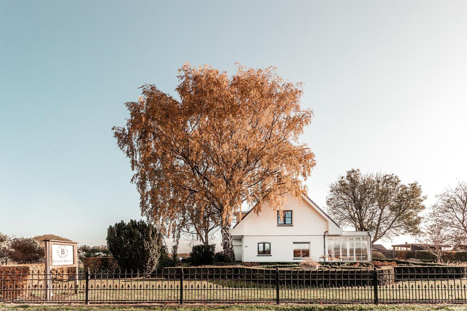Bed and Breakfast Betuwsch Badhuys Lienden Exterior foto